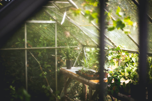 Guide to DIY Greenhouses
