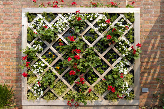 Maximizing Your Garden Space With Vertical Gardening