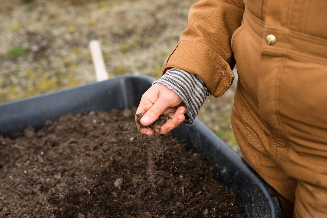 The Importance of Soil Testing: A Guide To DIY Methods