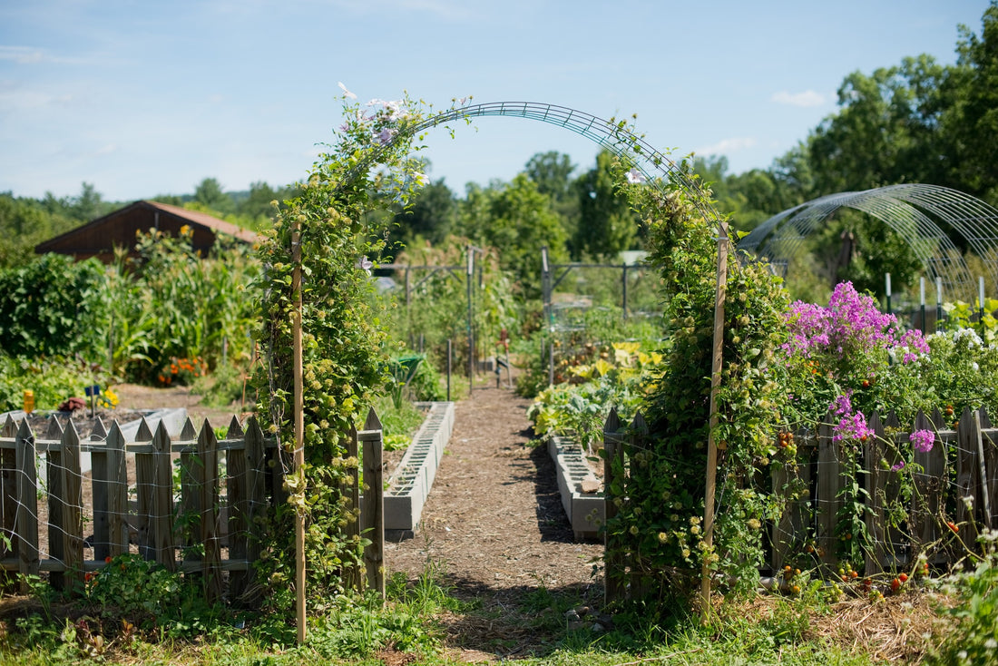 How To Build A Garden Homestead