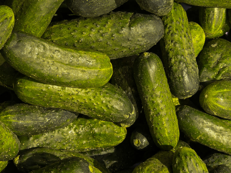 How to Fix Bitter Cucumbers