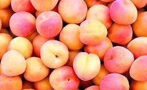 Apricot Seeds