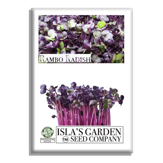 Rambo Radish | 200 Seeds/Pk