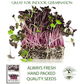 Rambo Radish | 200 Seeds/Pk