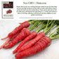 Atomic Red Carrots | 250 Seeds/Pk