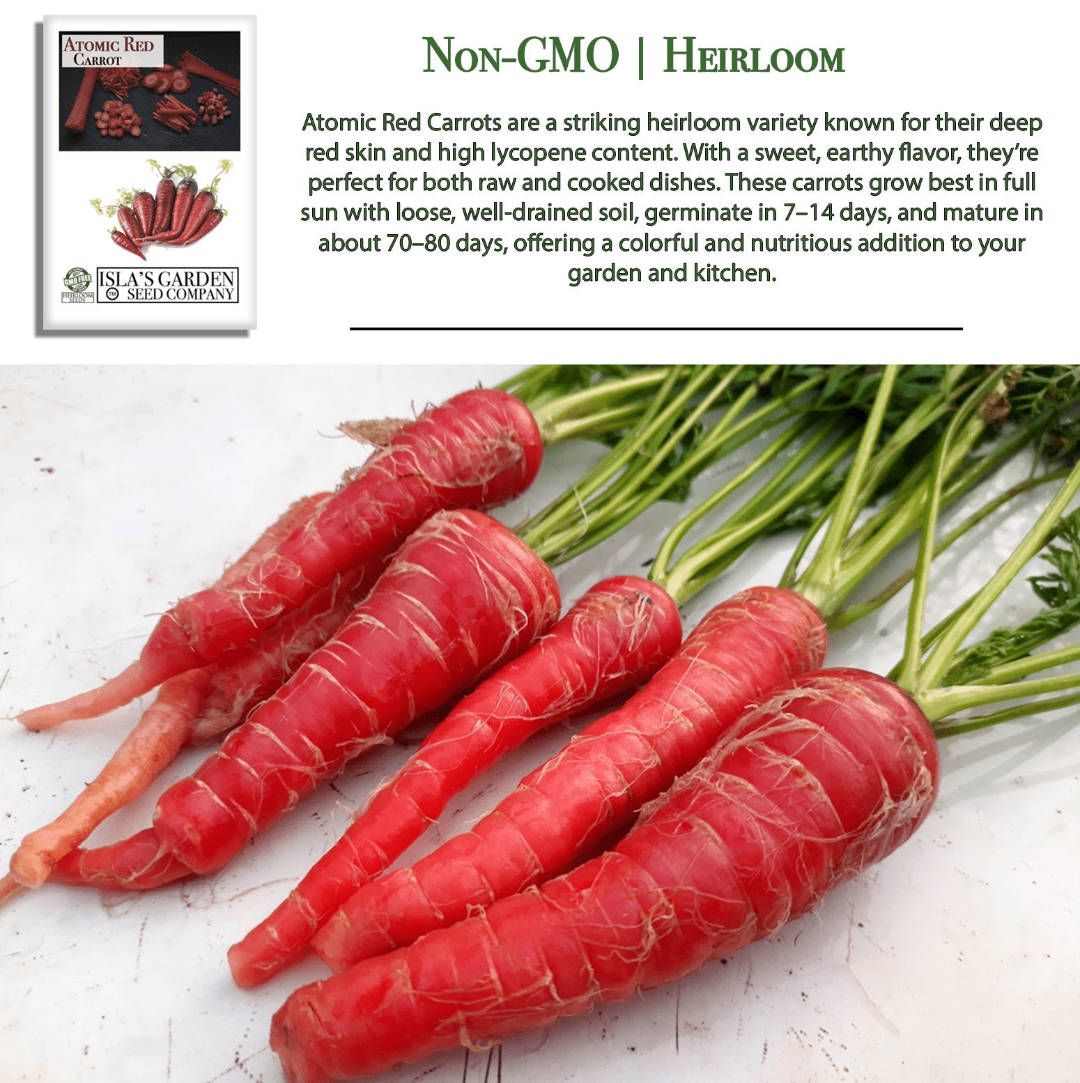 Atomic Red Carrots | 250 Seeds/Pk