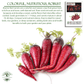 Atomic Red Carrots | 250 Seeds/Pk