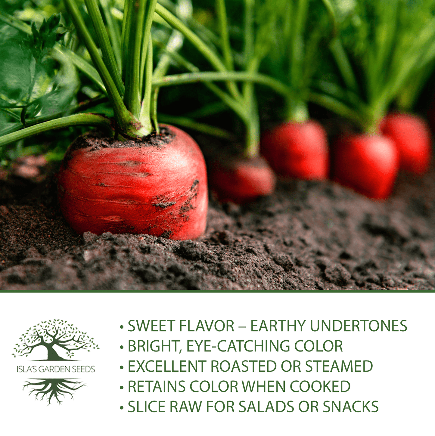 Atomic Red Carrots | 250 Seeds/Pk