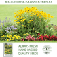 Black Eyed Susan | 3,000 Seeds/Pk