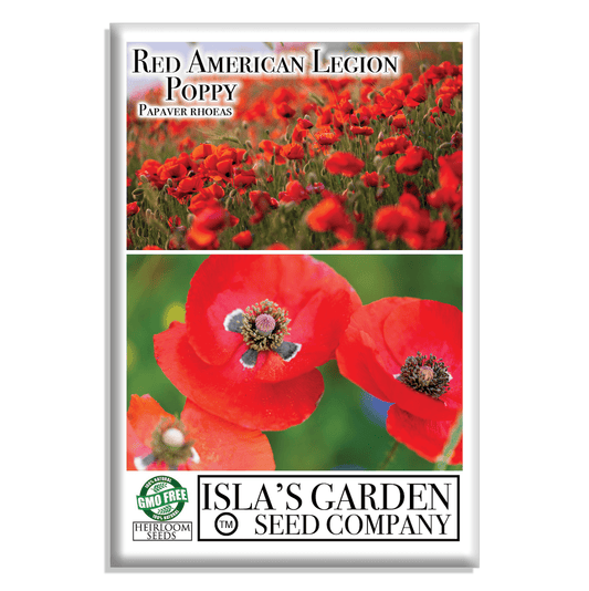 Red American Legion Poppy | 3,000 Seeds/Pk