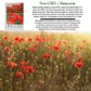 Red American Legion Poppy | 3,000 Seeds/Pk