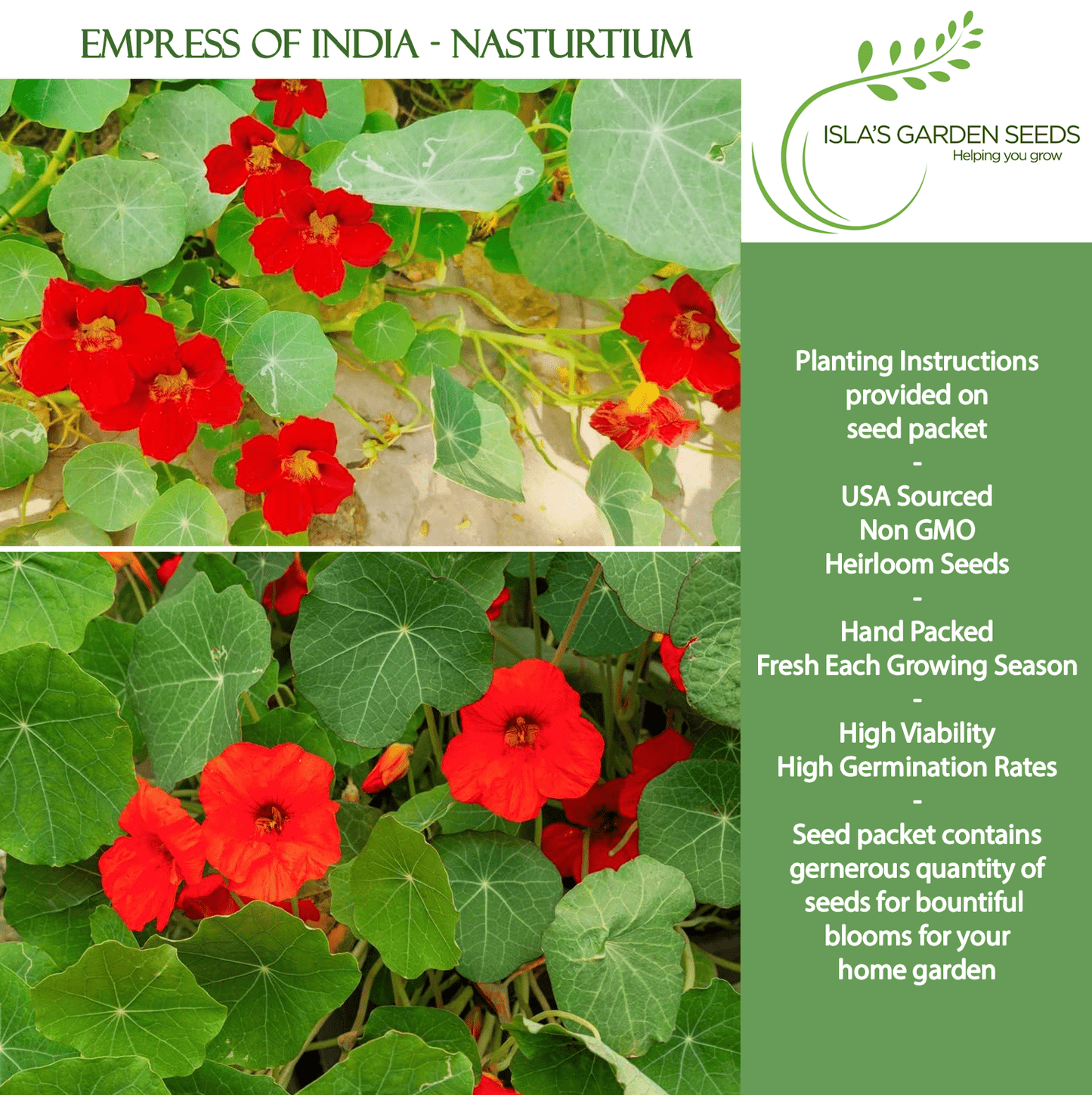 Empress of India Nasturtium | 50 Seeds/Pk