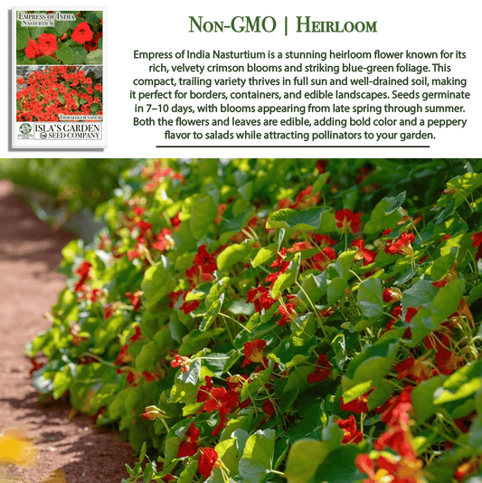 Empress of India Nasturtium | 50 Seeds/Pk