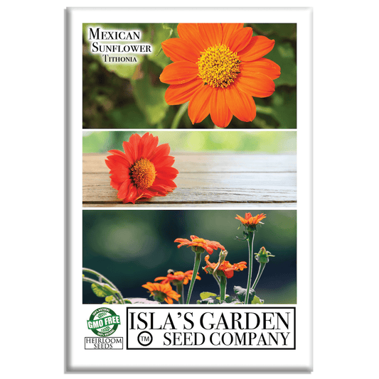 Mexican Sunflower | 100 Seeds/Pk