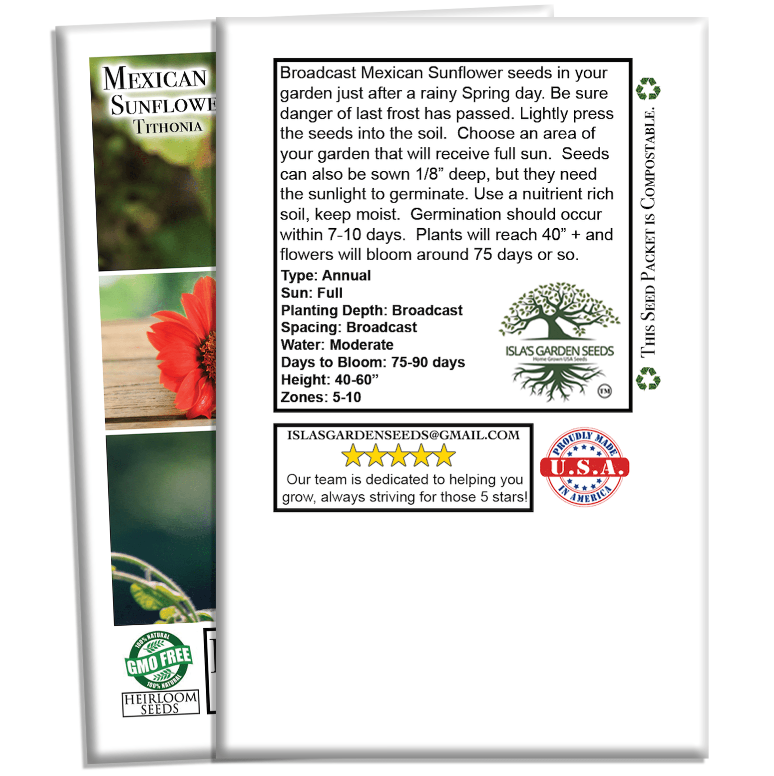 Mexican Sunflower | 100 Seeds/Pk