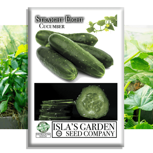 Straight Eight Cucumber | 100 Seeds/Pk