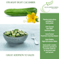 Straight Eight Cucumber | 100 Seeds/Pk