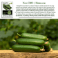 Straight Eight Cucumber | 100 Seeds/Pk