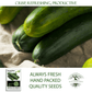 Straight Eight Cucumber | 100 Seeds/Pk