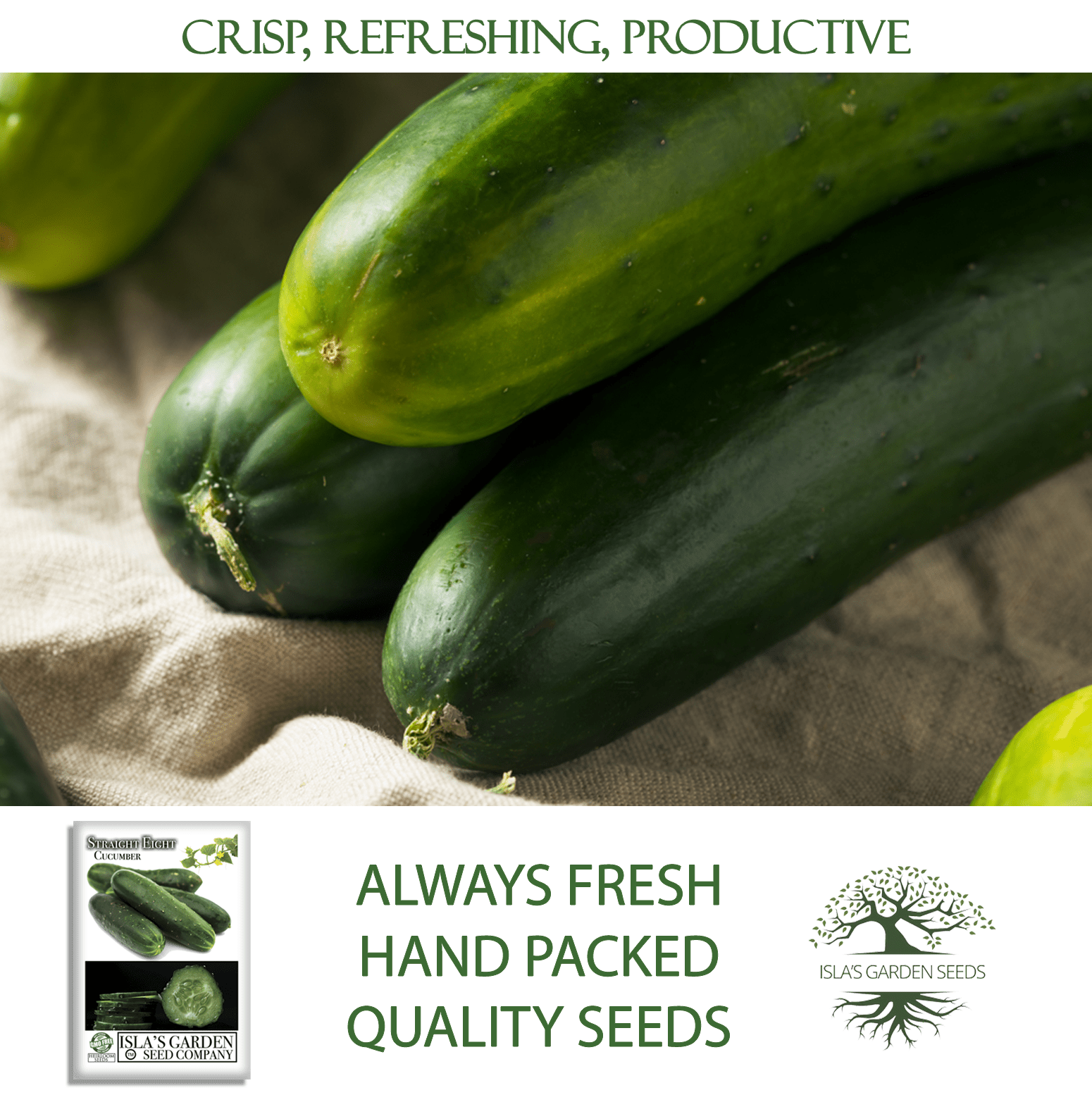 Straight Eight Cucumber | 100 Seeds/Pk