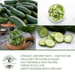 Straight Eight Cucumber | 100 Seeds/Pk