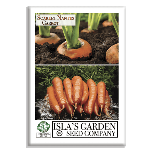 Scarlet Nantes Carrot | 500 Seeds/Pk