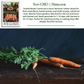 Scarlet Nantes Carrot | 500 Seeds/Pk