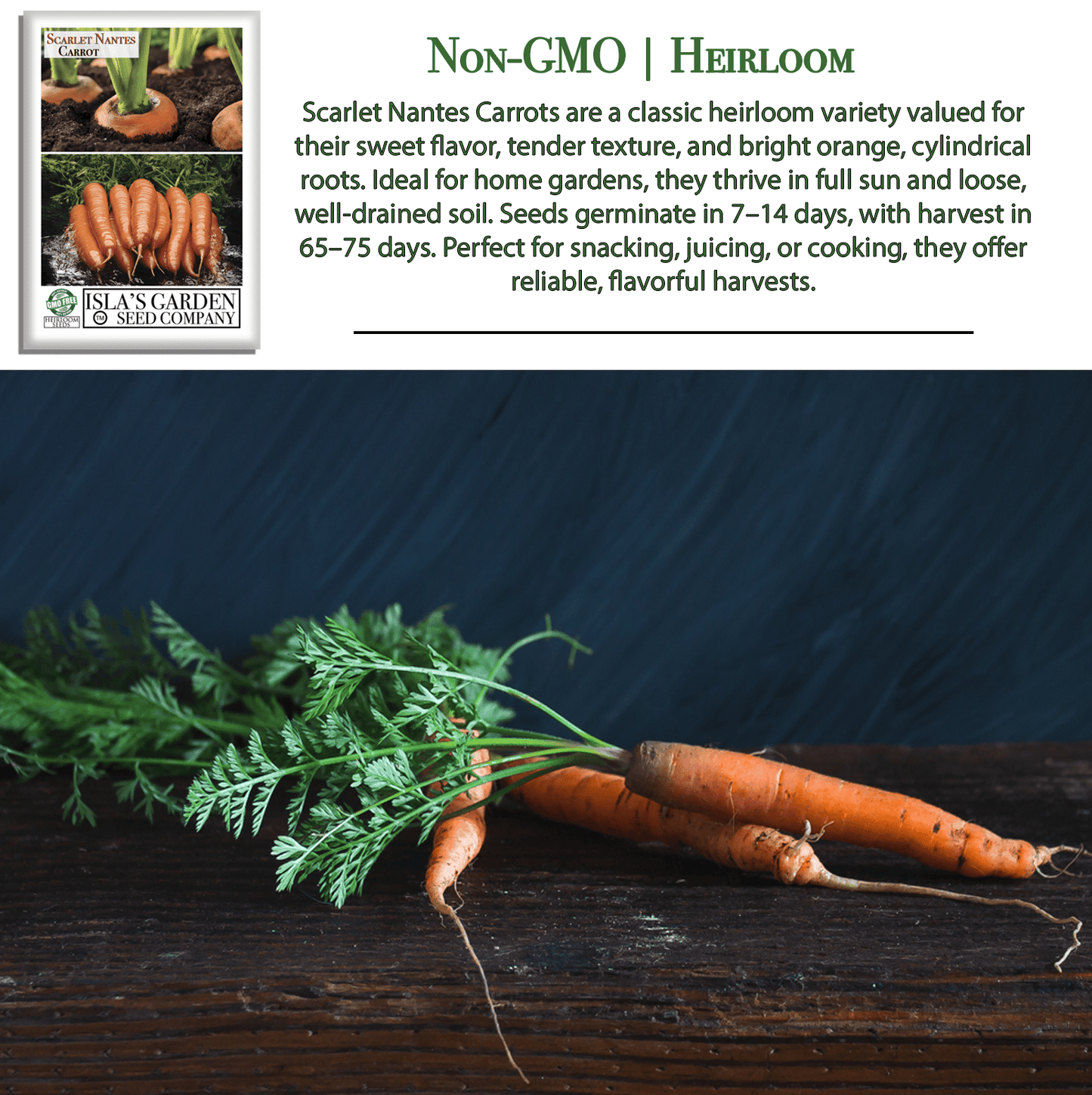 Scarlet Nantes Carrot | 500 Seeds/Pk
