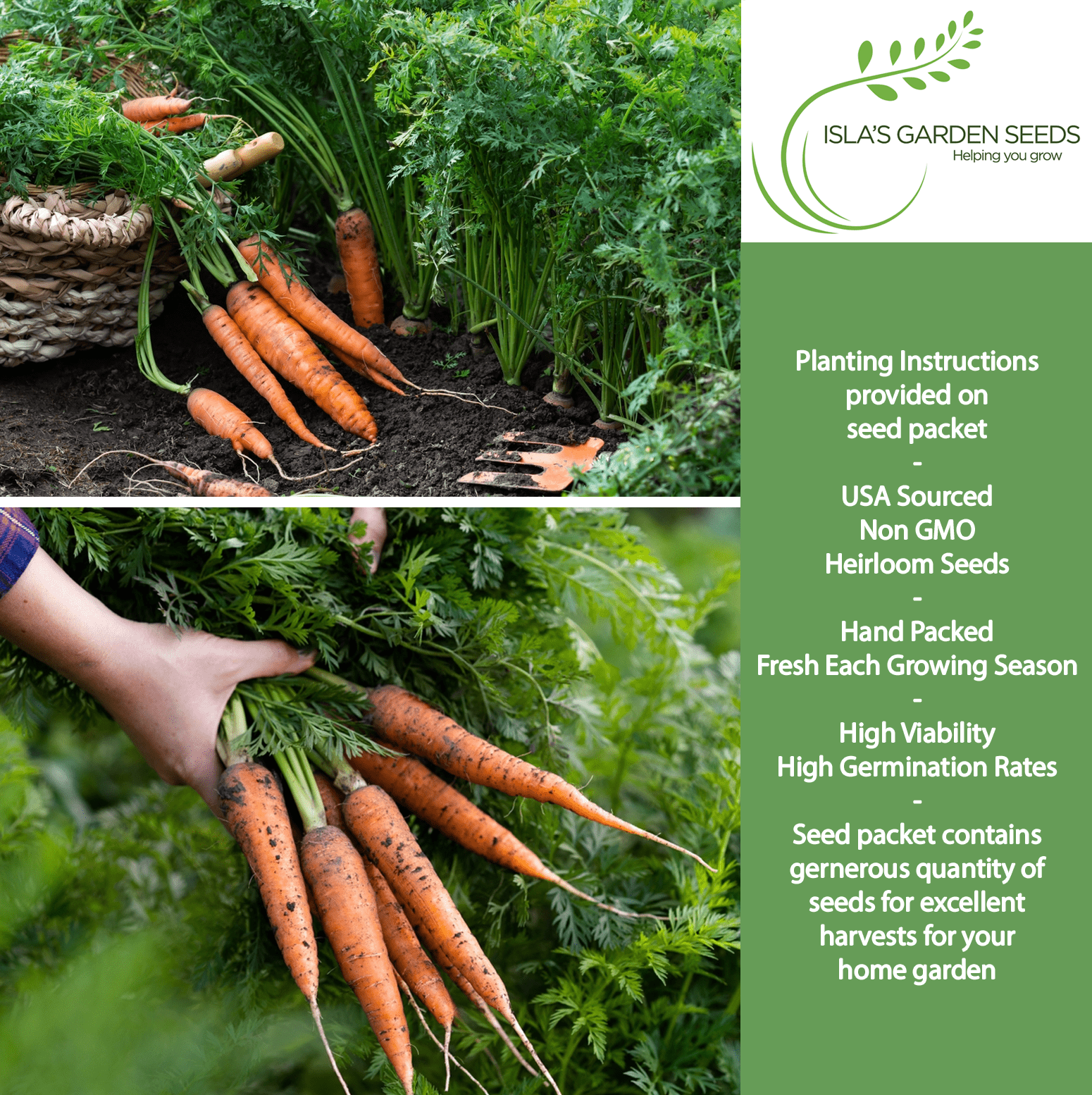 Scarlet Nantes Carrot | 500 Seeds/Pk