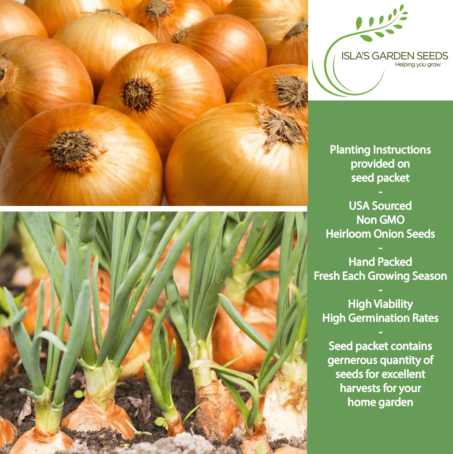 Yellow Sweet Spanish Onion | 750 Seeds/Pk