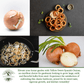 Yellow Sweet Spanish Onion | 750 Seeds/Pk