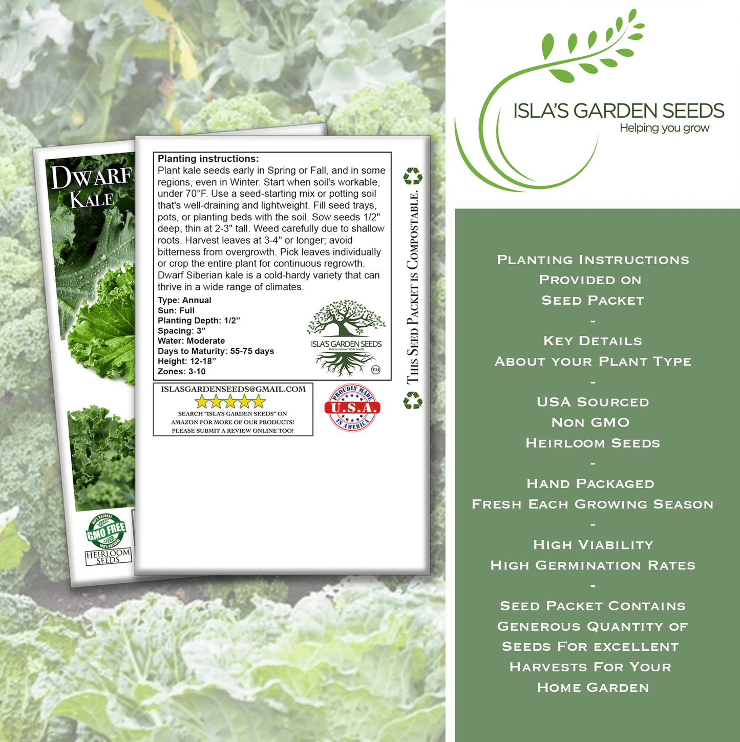 Dwarf Siberian Kale | 500 Seeds/Pk