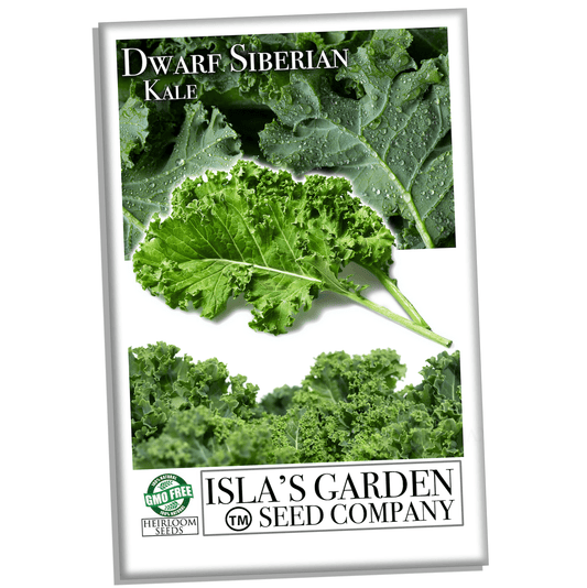 Dwarf Siberian Kale Seeds for Planting, 500+ Heirloom Seeds Per Packet, Isla's Garden Seeds , Non GMO Seeds, Botanical Name: Brassica oleracea, Great Home Garden Gift