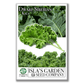Dwarf Siberian Kale | 500 Seeds/Pk