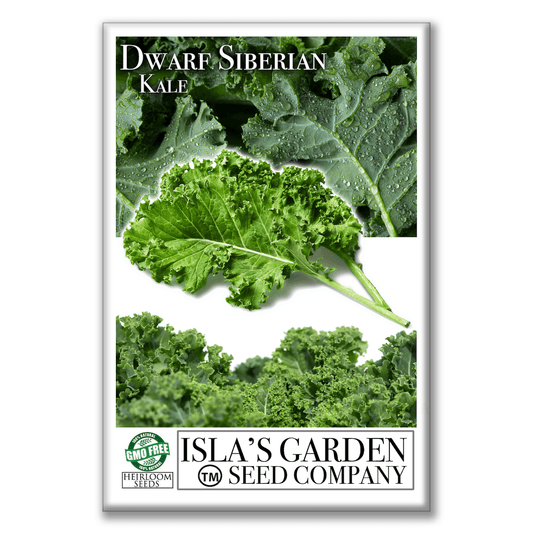 Dwarf Siberian Kale | 500 Seeds/Pk