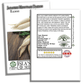 Japanese Minowase Daikon Radish | 100 Seeds/Pk