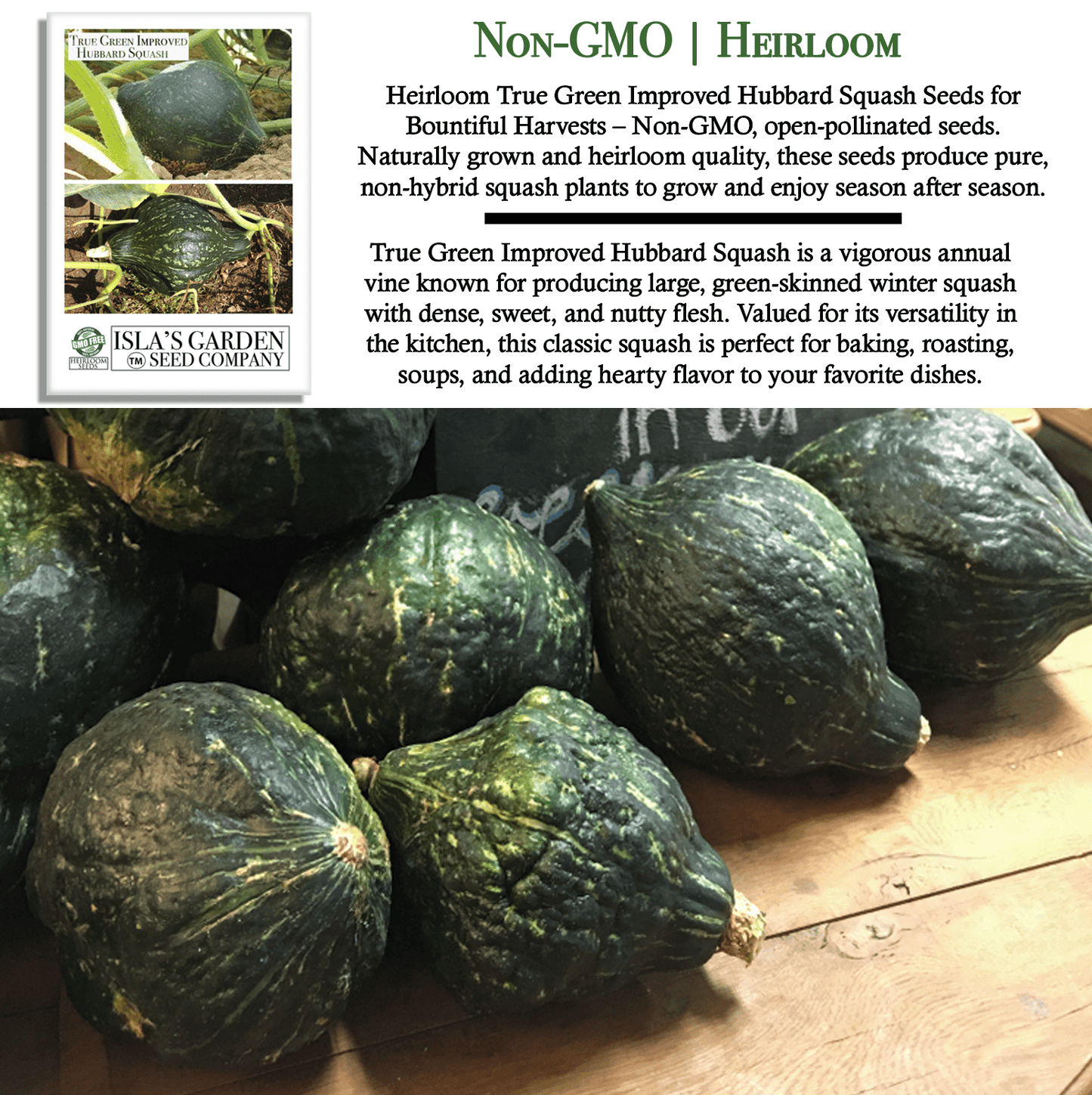 True Green Improved Hubbard Squash | 25 Seeds/Pk