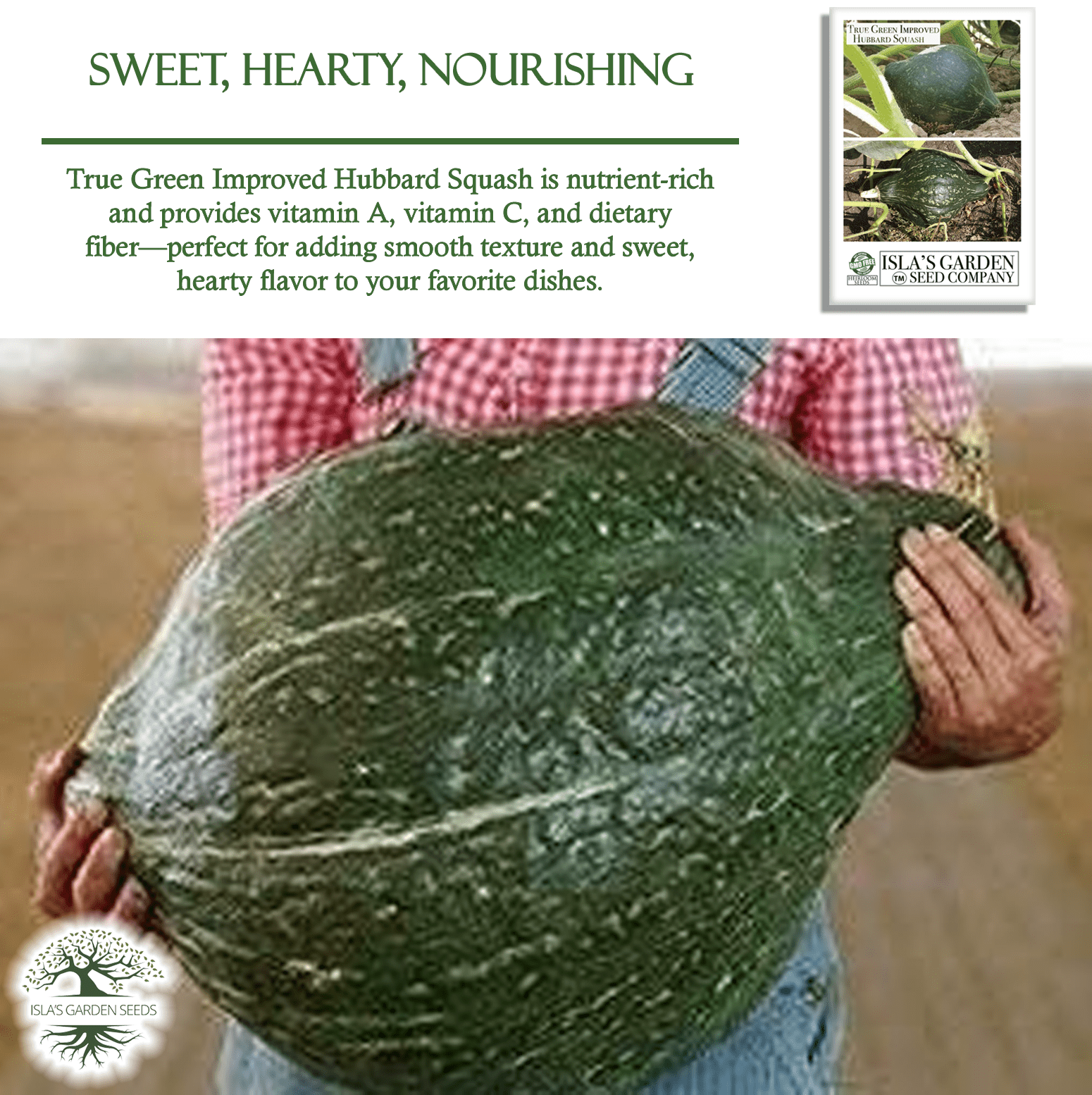 True Green Improved Hubbard Squash | 25 Seeds/Pk