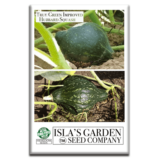 True Green Improved Hubbard Squash | 25 Seeds/Pk