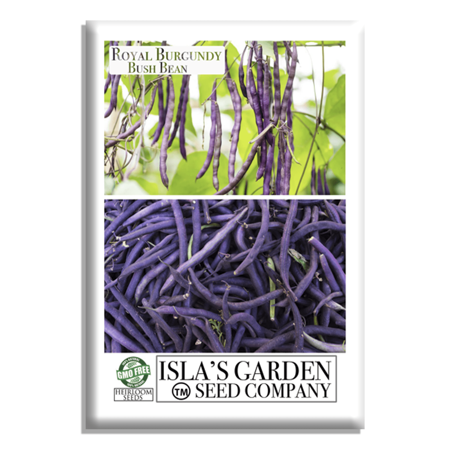 Royal Burgundy Bush Beans | 50 Seeds/Pk