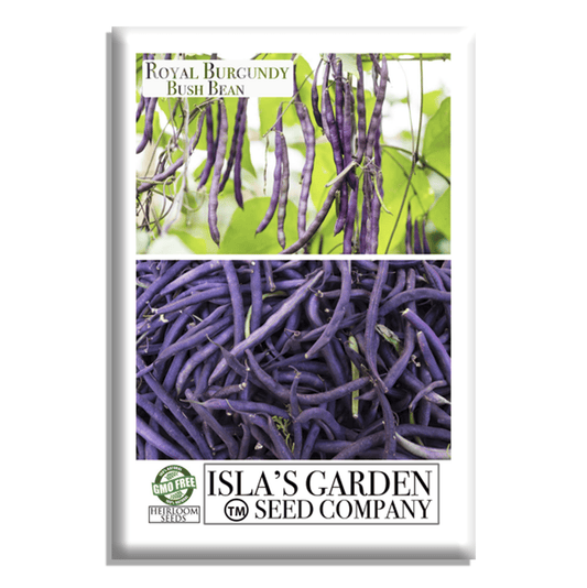 Royal Burgundy Bush Beans | 50 Seeds/Pk