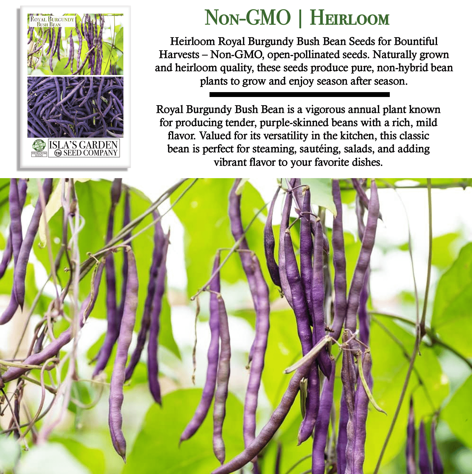 Royal Burgundy Bush Beans | 50 Seeds/Pk