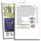 Royal Burgundy Bush Beans | 50 Seeds/Pk