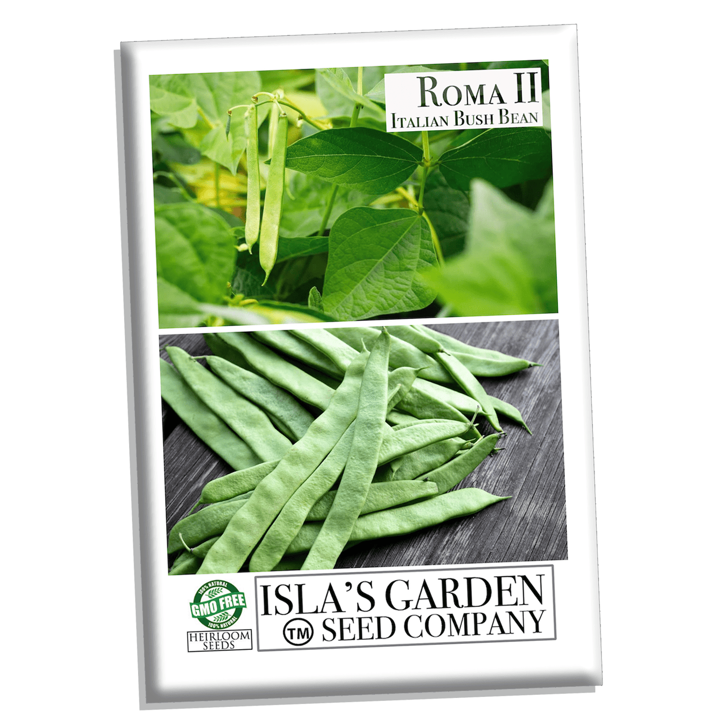 Roma II Bush Bean Phaseolus vulgaris - 30 Heirloom Seeds Per Packet