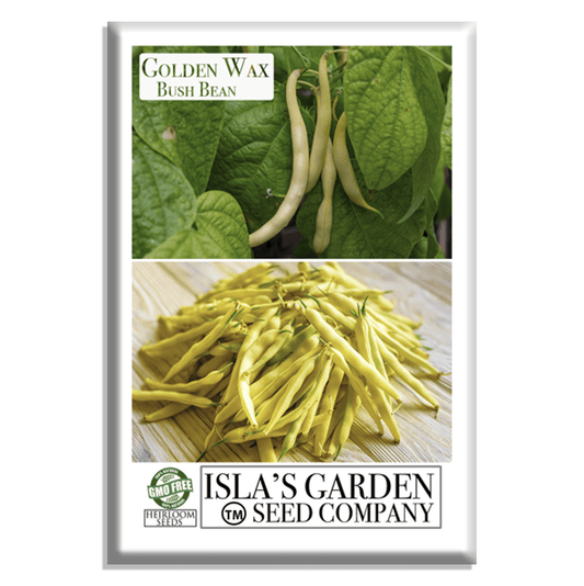 Golden Wax Bush Beans | 50 Seeds/Pk
