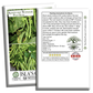 Kentucky Wonder Pole Beans | 30 Seeds/Pk