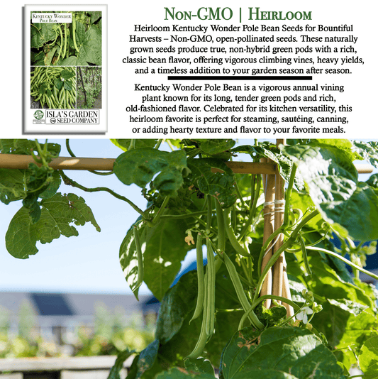 Kentucky Wonder Pole Beans | 30 Seeds/Pk