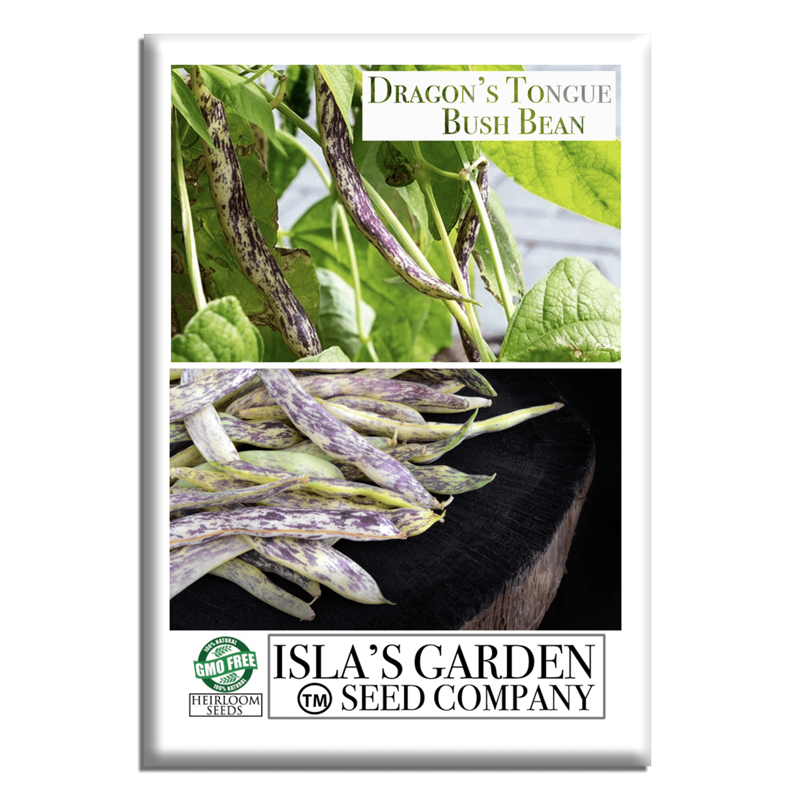 Dragon's Tongue Bush Bean Dragon Langerie , 25 Heirloom Seeds Per Packet, Non GMO Seeds