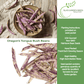 Dragon's Tongue Bush Bean Dragon Langerie , 25 Heirloom Seeds Per Packet, Non GMO Seeds