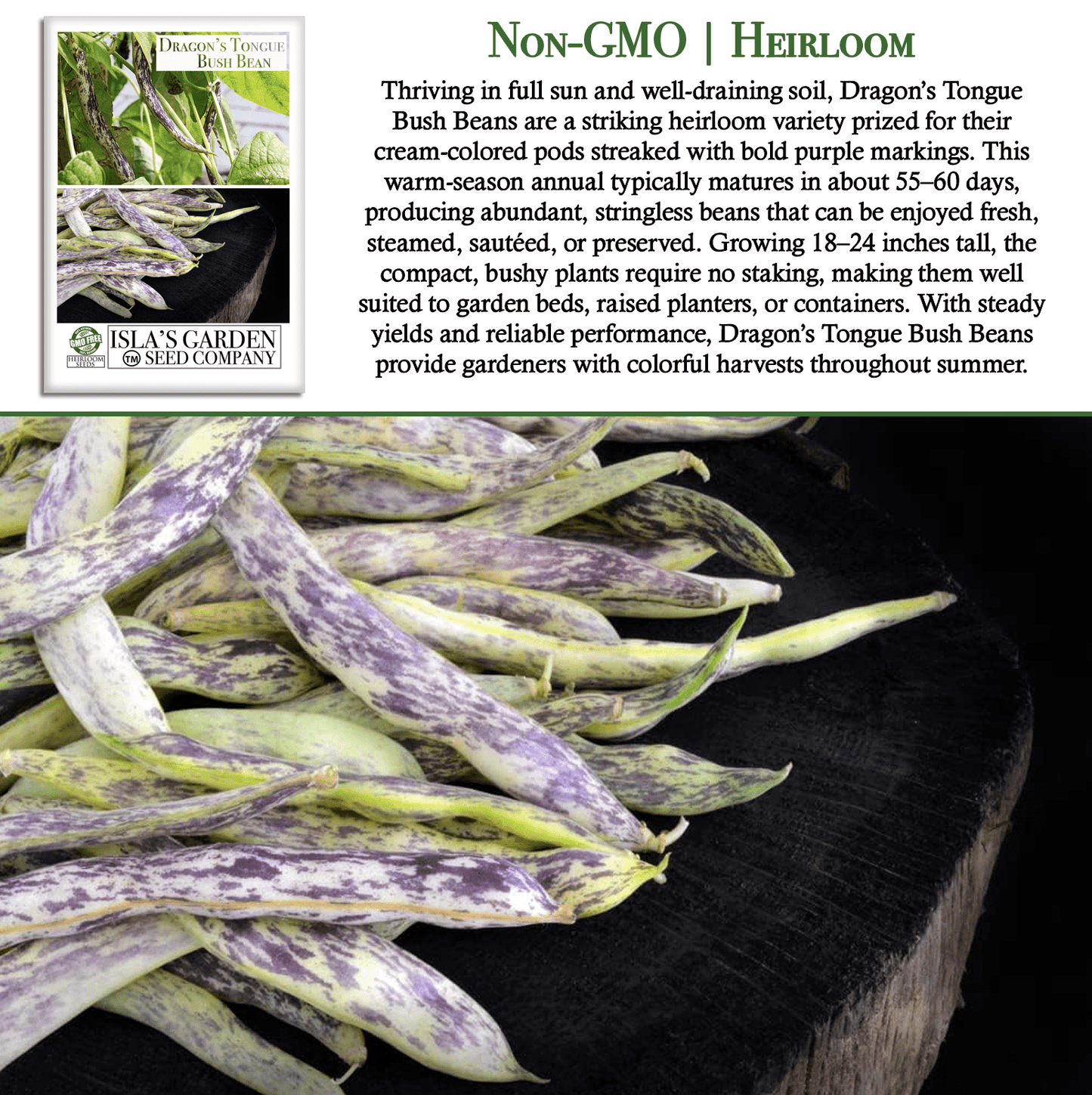 Dragon's Tongue Bush Bean Dragon Langerie , 25 Heirloom Seeds Per Packet, Non GMO Seeds